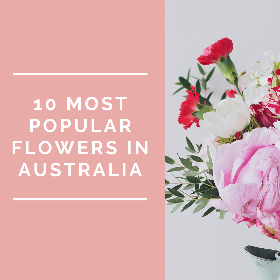 Les 10 fleurs les plus populaires en Australie selon Rups Flowers & Gifts