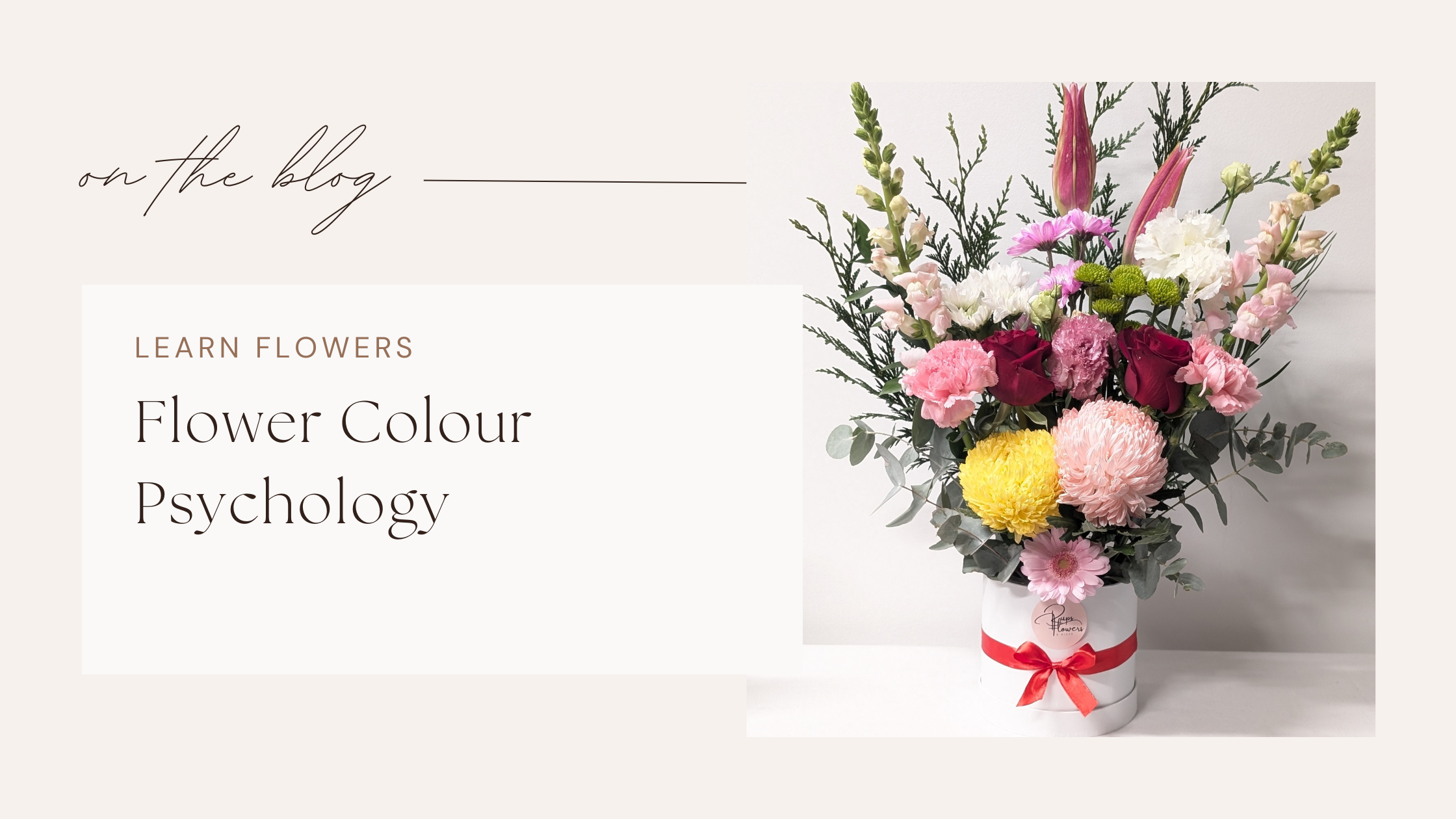 Blumenfarben-Psychologie für Stimmungsbilder