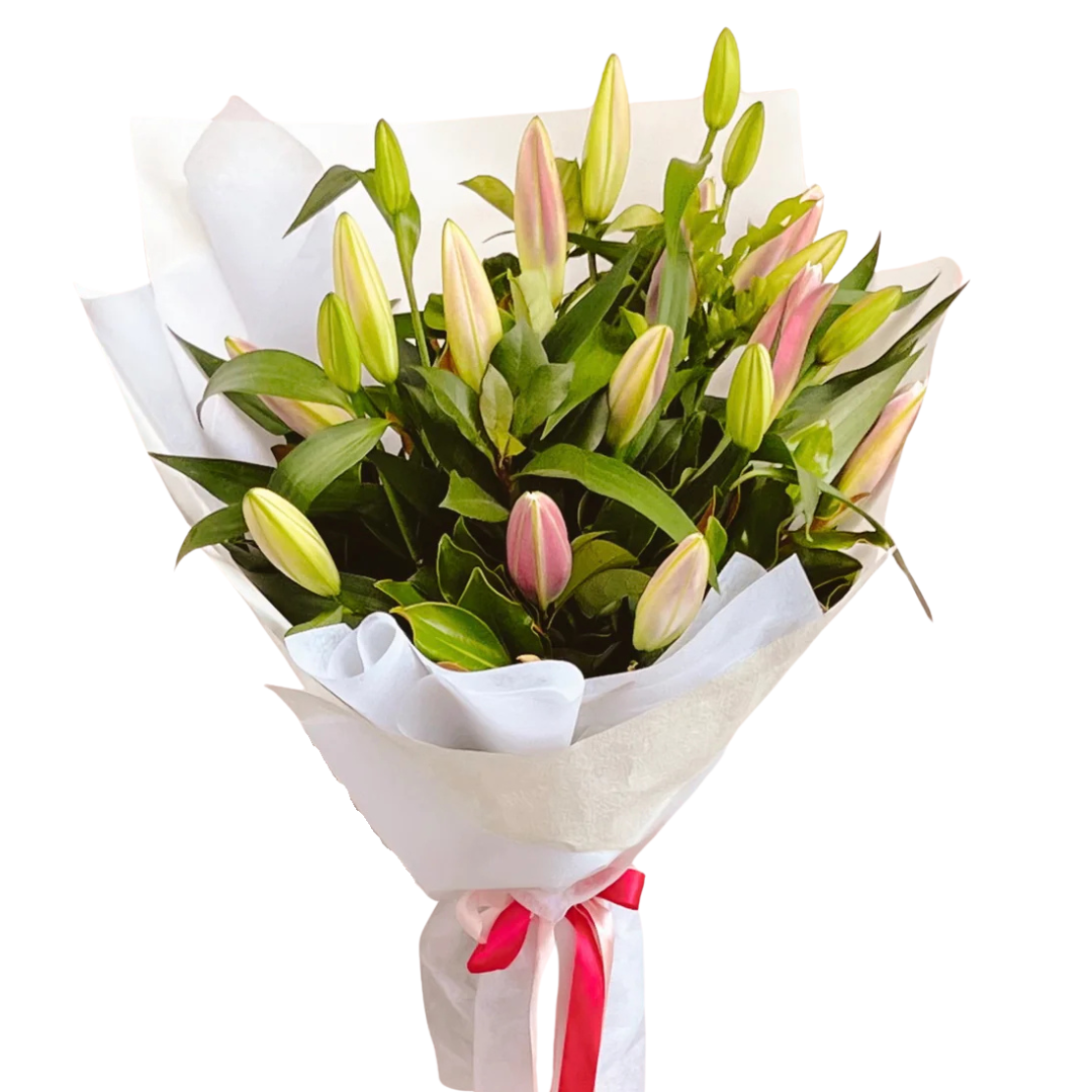 What are the different types of Lilies?