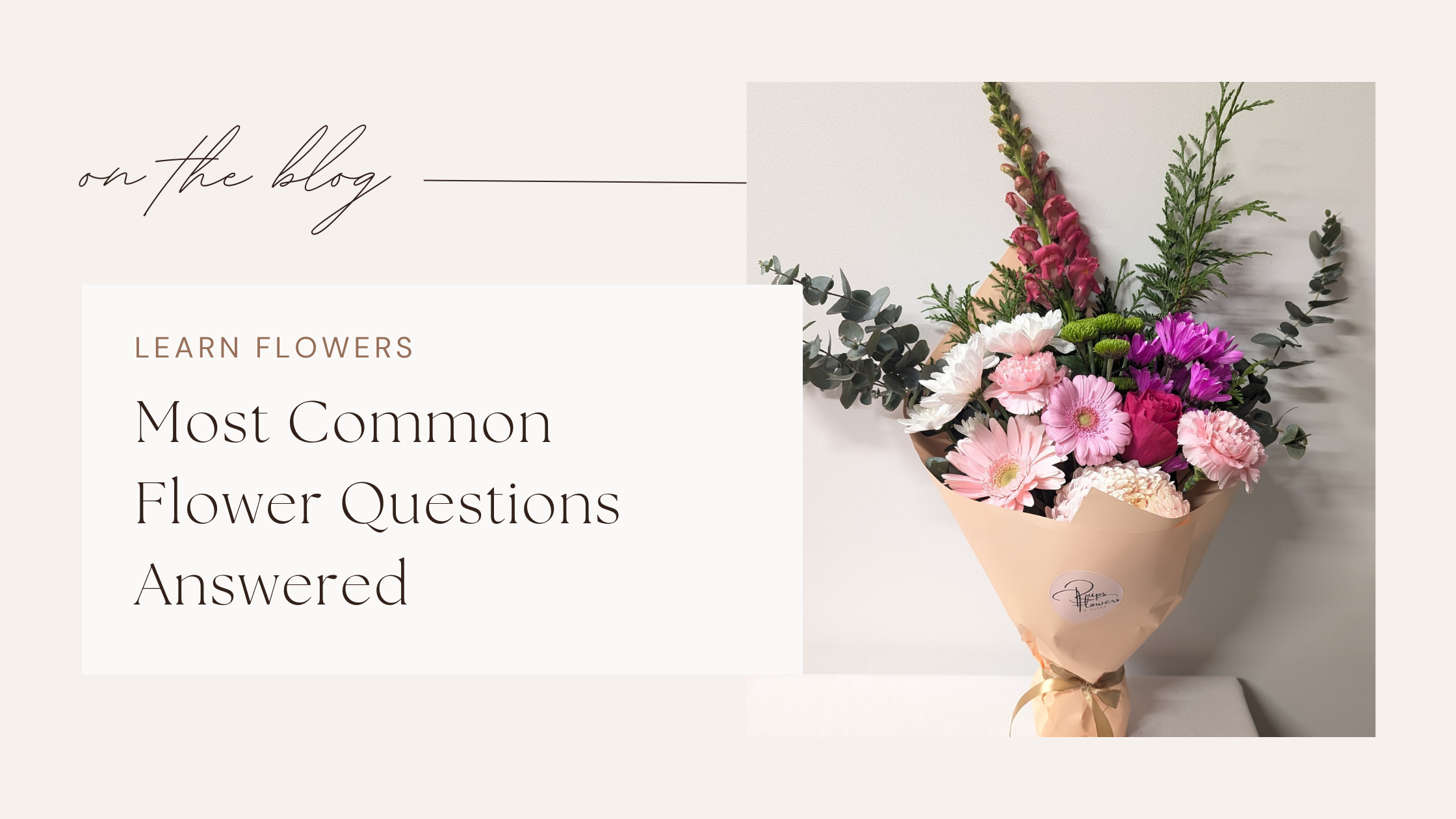 Rups Flowers and Gifts beantwortet häufige Fragen zu Blumen