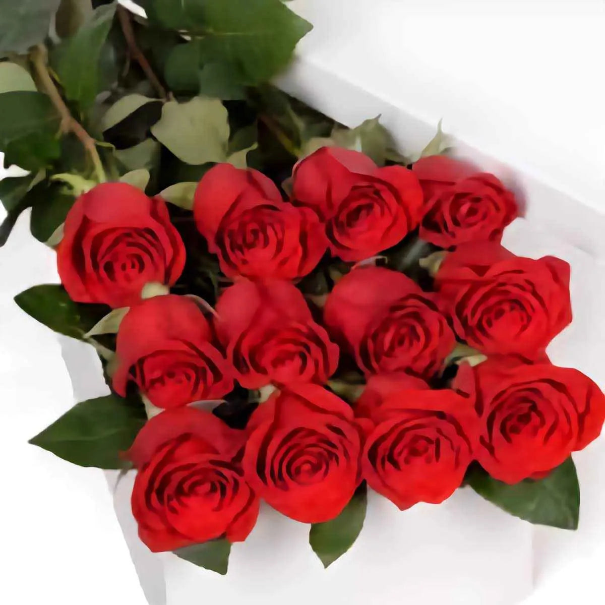 Long Roses Big Box