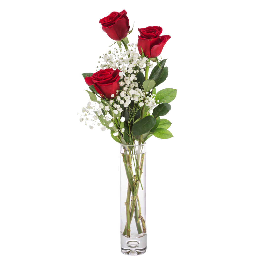 Trio Red Roses