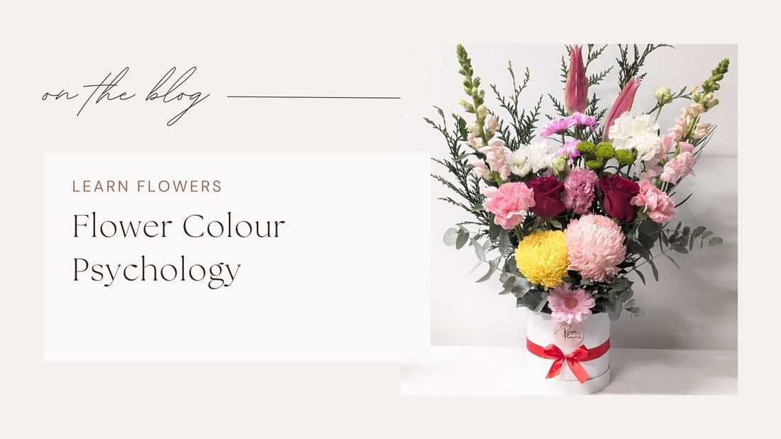 Flower Colour Psychology