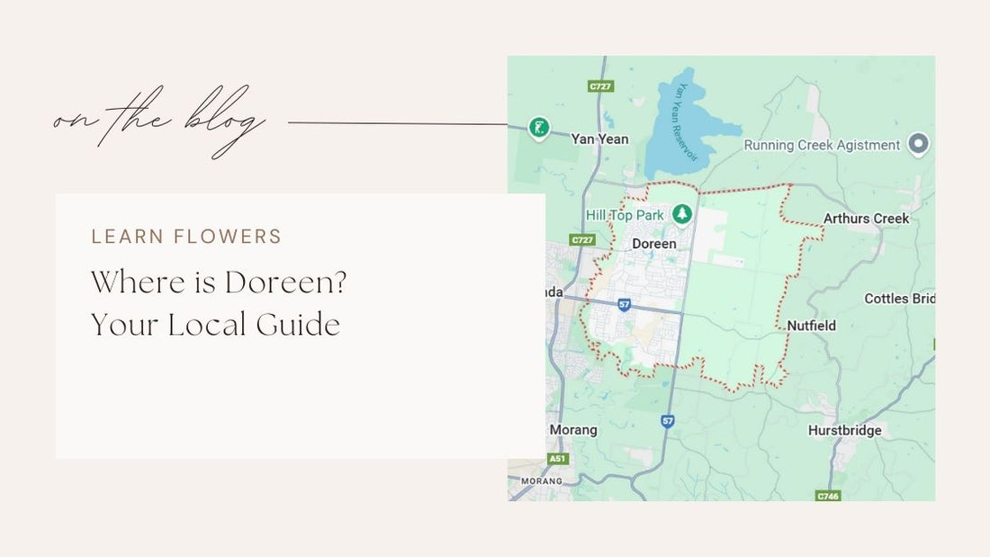Where is Doreen? Your Local Guide