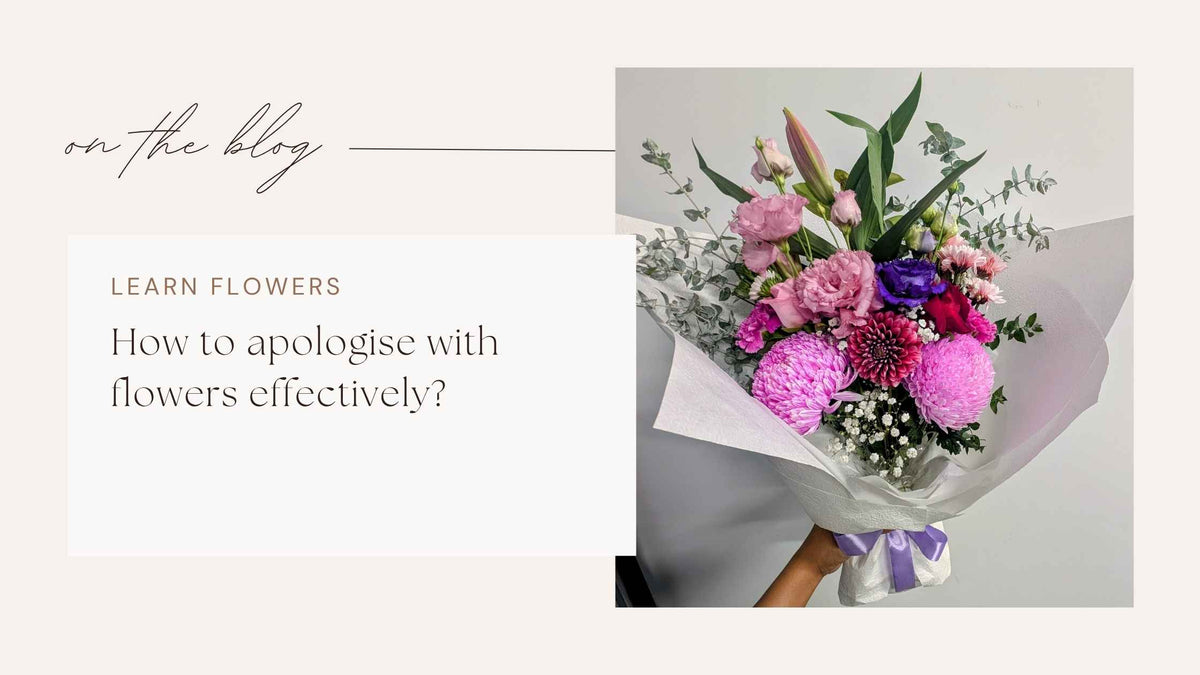 How to apologise with flowers effectively?