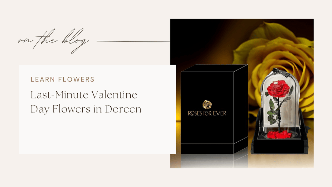 Last-Minute Valentine Day Flowers in Doreen