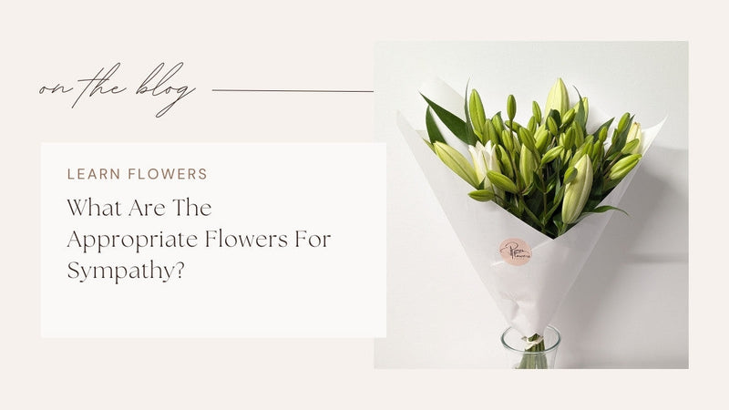 What Are The Appropriate Flowers For Sympathy?