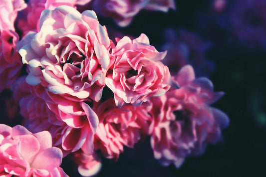 What Not to Give Your Mum on Mother’s Day