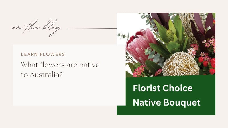 What flowers are native to Australia