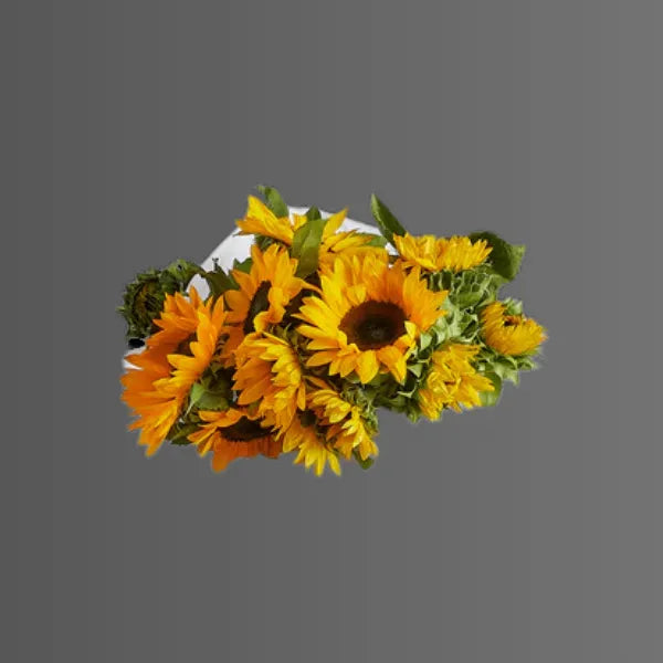 Sunflower Delivery