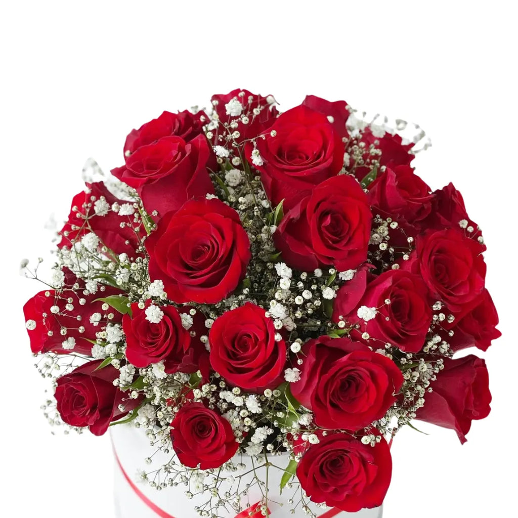 Red Roses Flowers