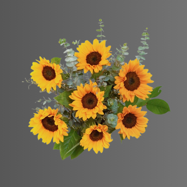 Sunflower Bouquet