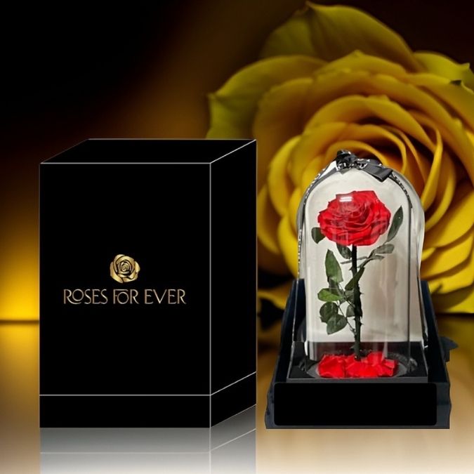 Everlasting Rose Red (Large)