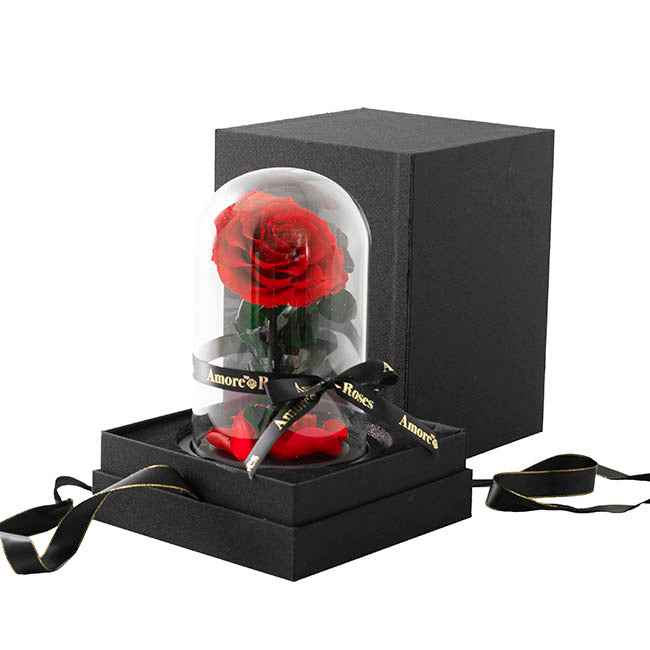 Amore Forever Rose Single Stem Cloche Red