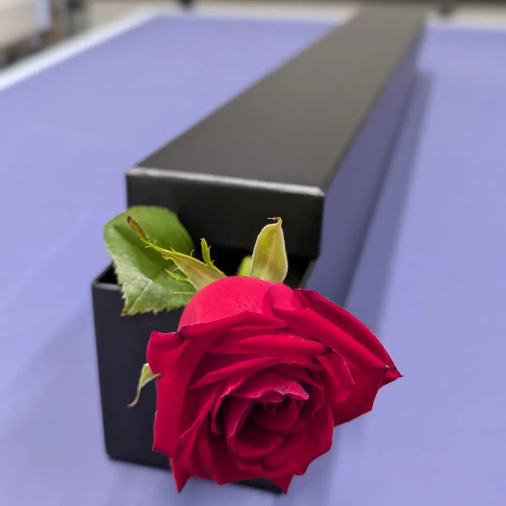 Rose In A Box