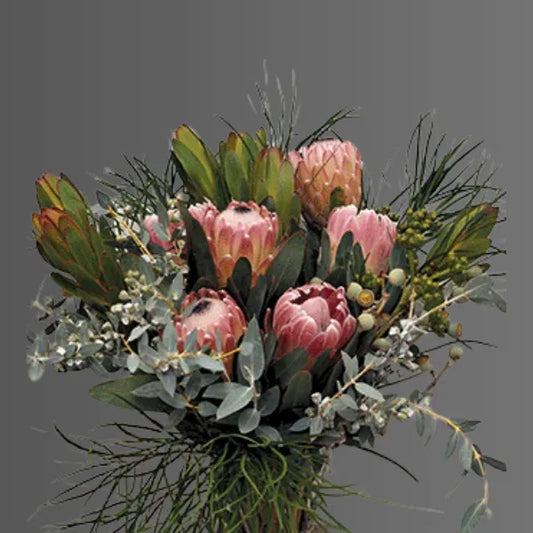 Native Flowers