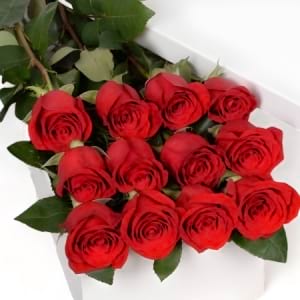 Rose In A Box