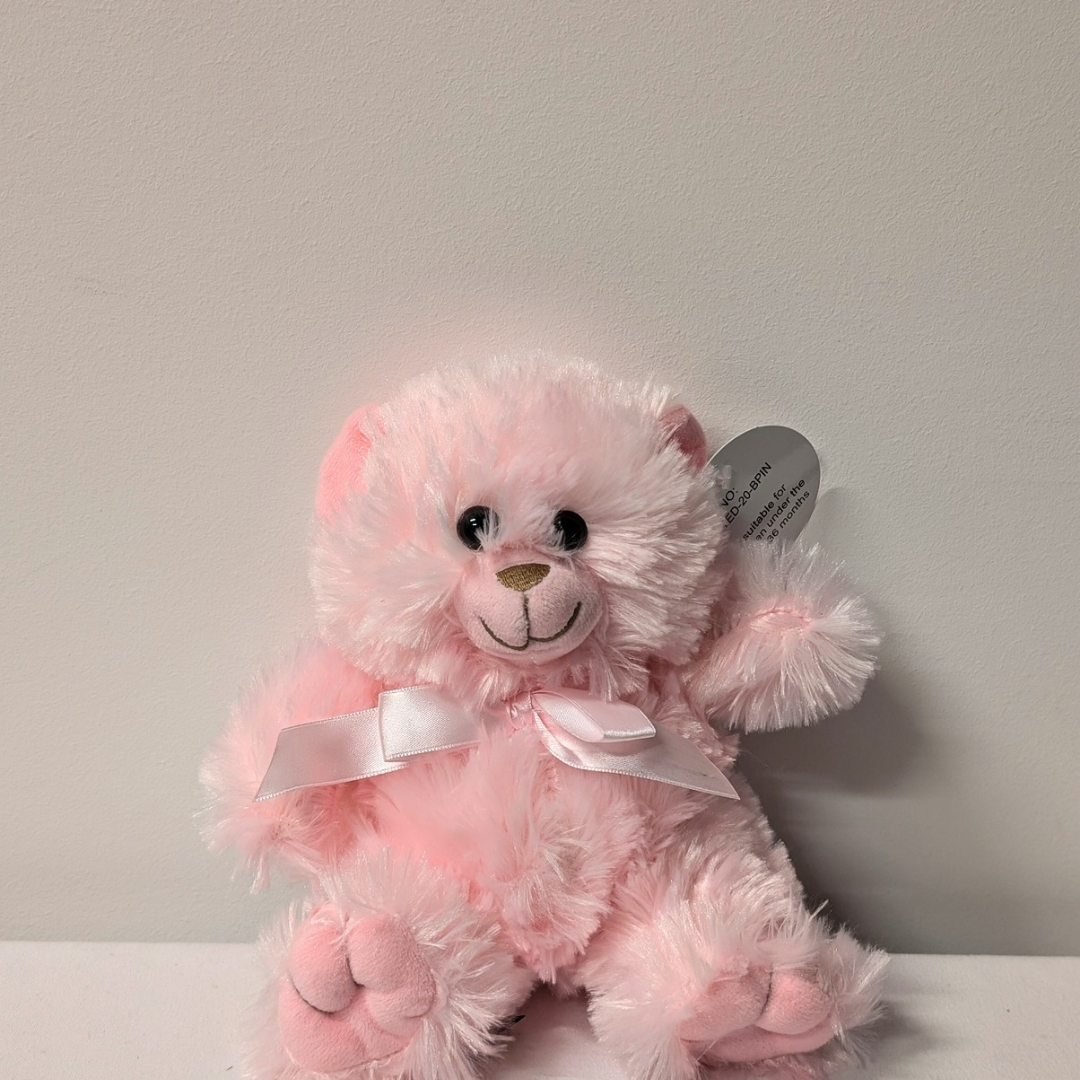 Pink teddy