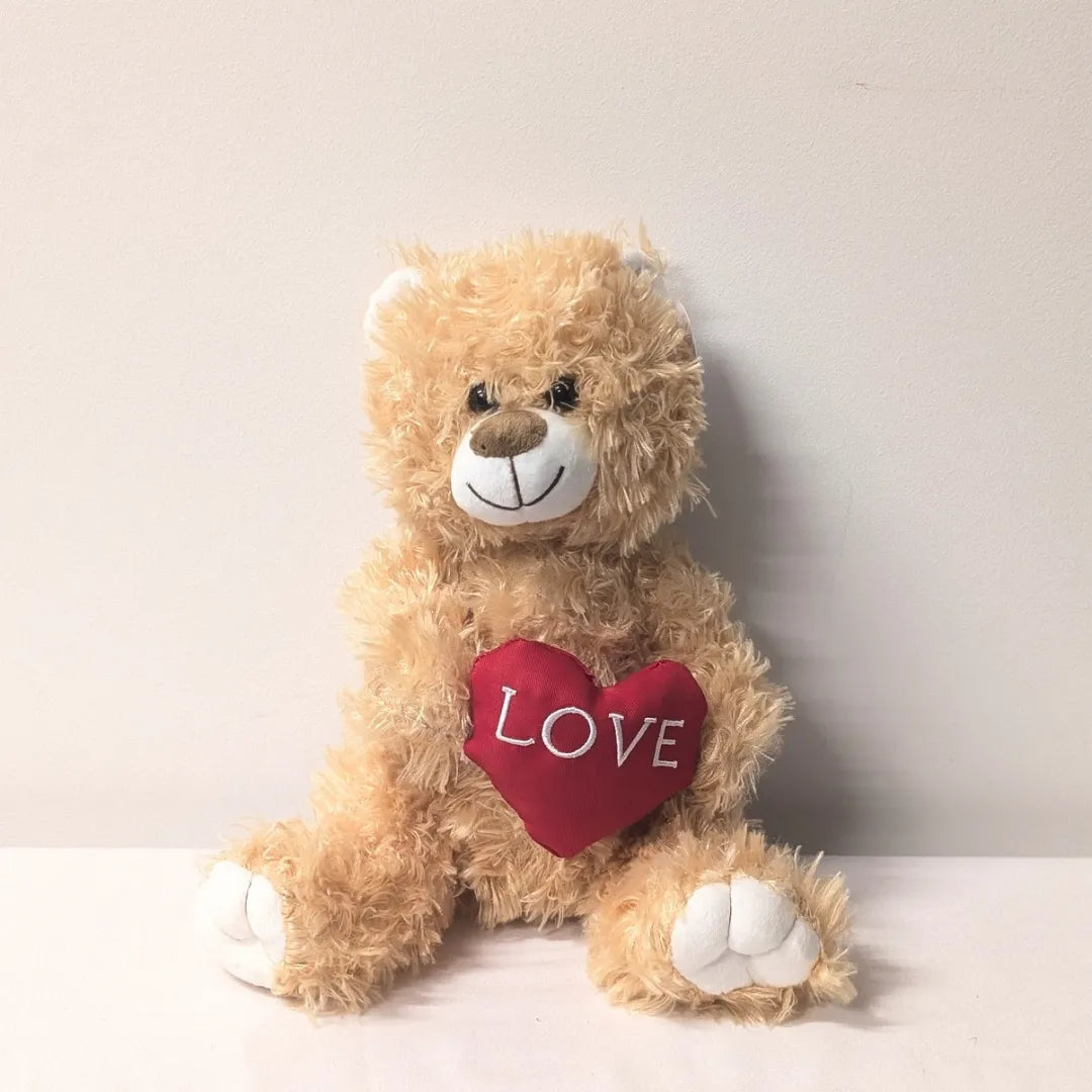 Teddy Love Heart