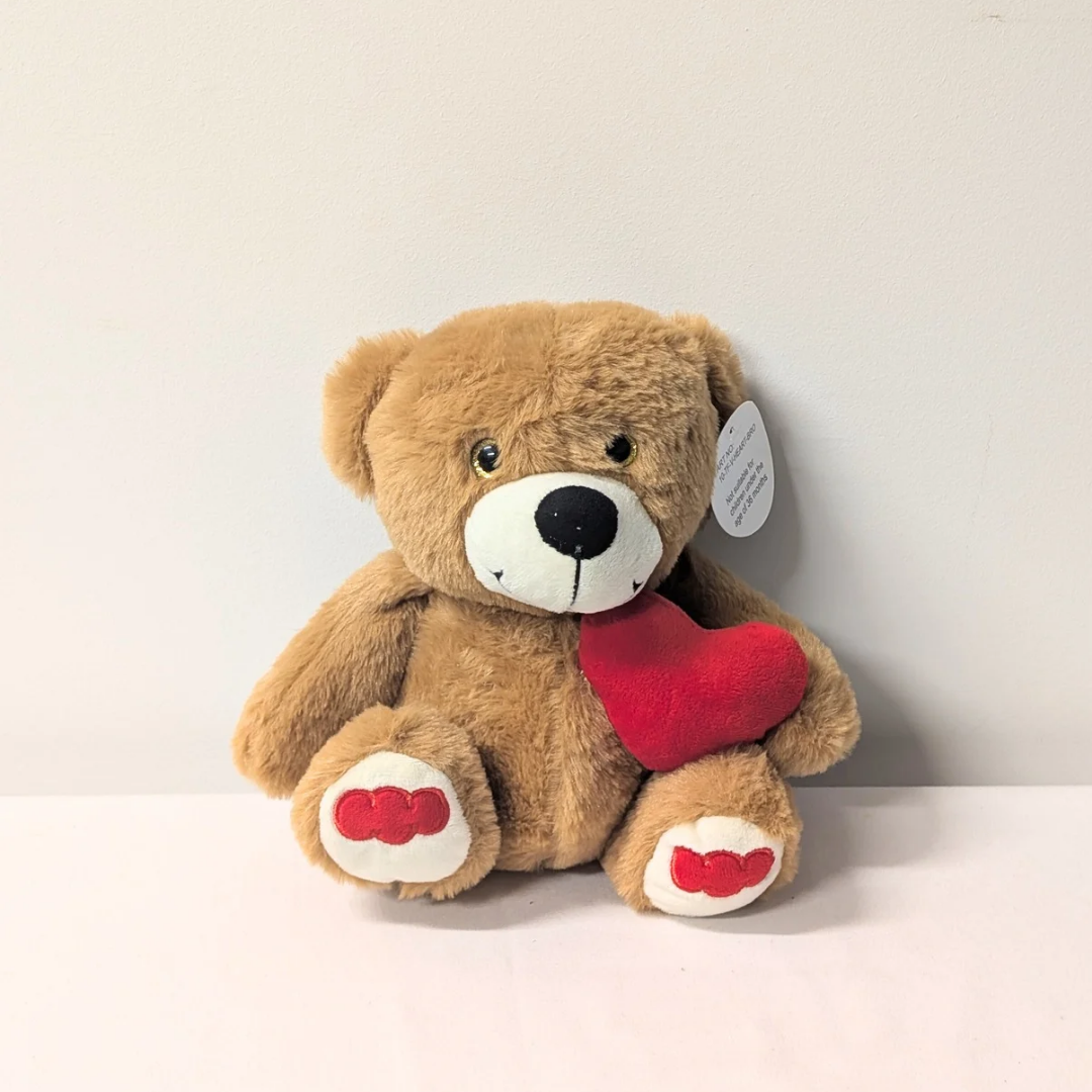 Teddy Holding Heart