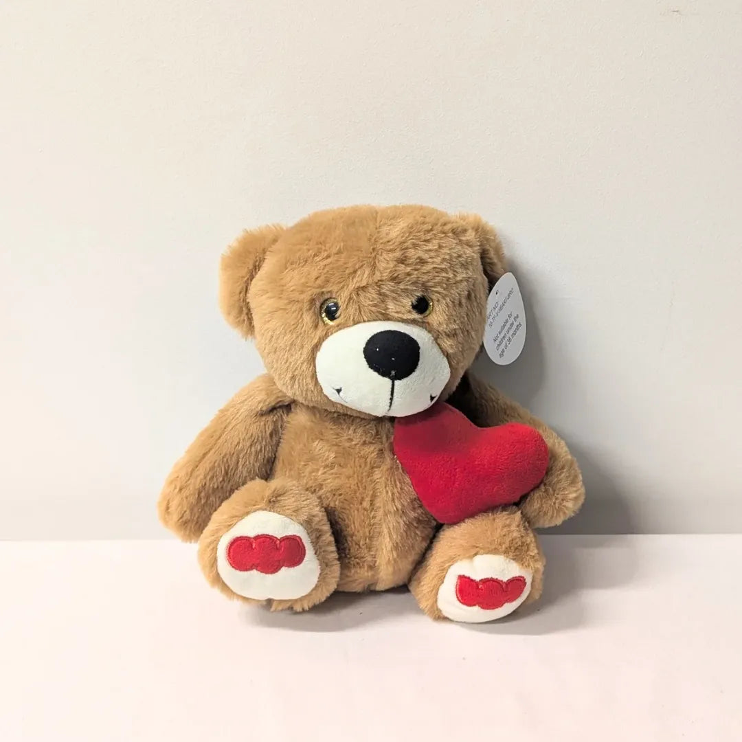 Teddy Holding Heart